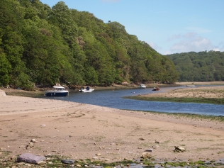 Boats moored on the Erme